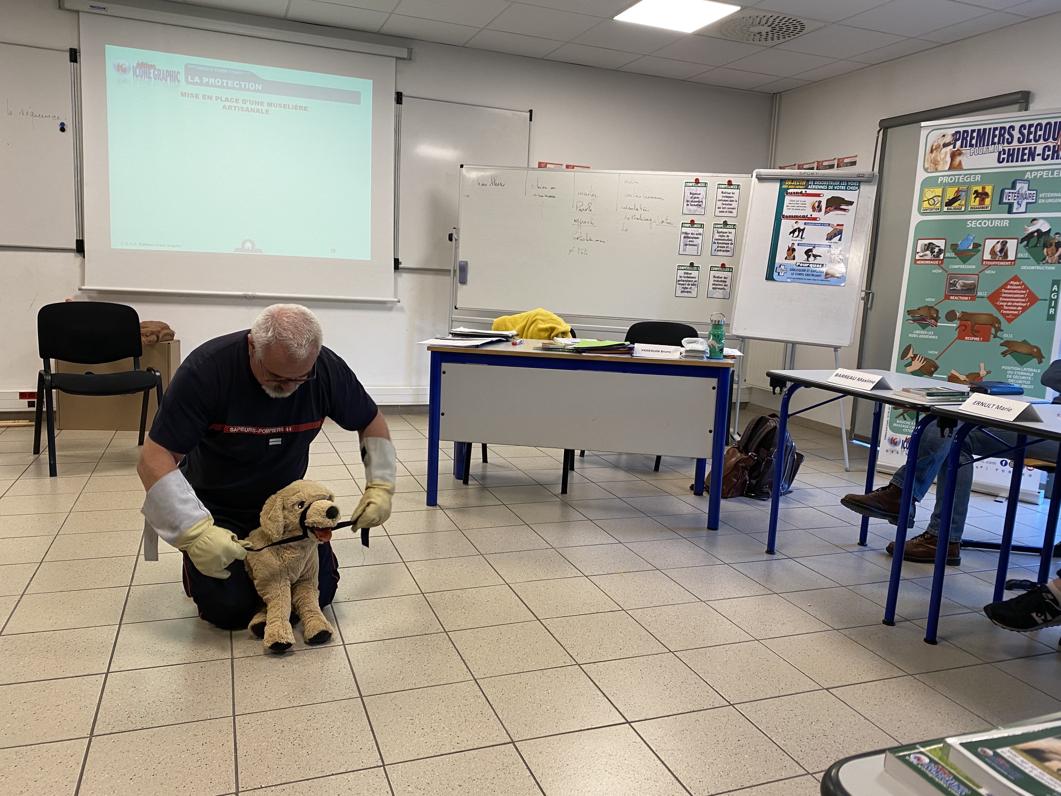 formation premiers secours chien chat